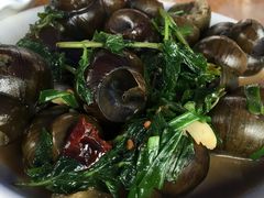 -遇龙河大樟树农家乐