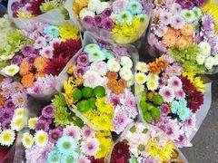 -循礼门鲜花花市(武汉循礼门店)