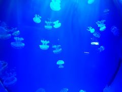 -多彩贵州城极地海洋世界