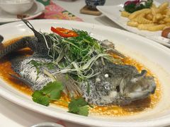 清蒸花斑-虾饺妹·酒家(海珠广场店)