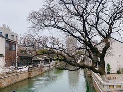 -青果巷历史文化街区