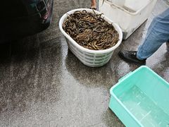 -乐山第一家临江鳝丝(茶坊路店)