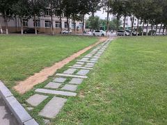android_upload_pic-辽宁大学(崇山校区)
