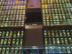 -广东中医药博物馆