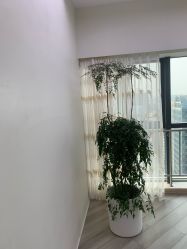 -HEYAN荷妍专业脱毛连锁机构