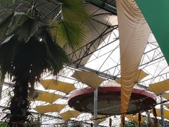 -北国之春国宴(乌兰察布店)