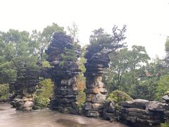 -南山植物园