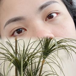 -Four Seven·半永久纹眉