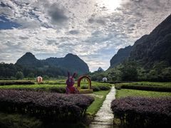 -靖西鹅泉风景区