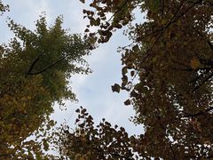 -渭河城市绿地运动公园