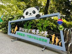 -都江堰中华大熊猫苑