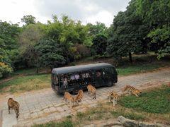 -深圳野生动物园