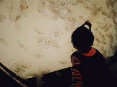 -沈阳海洋探索中心