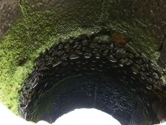 -福建土楼（南靖）云水谣景区-和贵楼