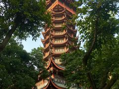 -塔子山公园