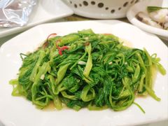 -新兴家喻酒家·羊城名宴(昌岗店)