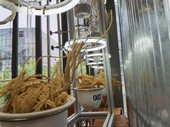 -OUR Bakery(三里屯太古里店)