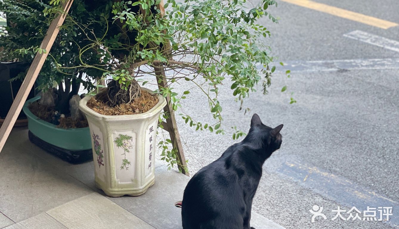 咖啡日记 | 甜蜜的印记[愉快]