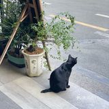 咖啡日记 | 甜蜜的印记[愉快]