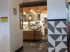 -油梨树 AVOCADO TREE(亮马桥店)