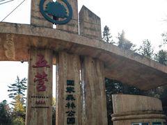 -五营红松林海景区