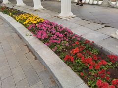 -沈阳植物园