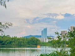 -洋湖国家湿地公园