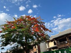 -朱家花园