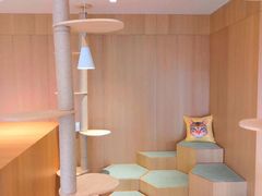 -CAT’S MEWSTAR CAFE·喵星球猫屋(晴湾咖啡店)