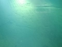 -白鹤梁水下博物馆