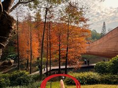 -云溪植物园