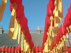 -护国法轮寺