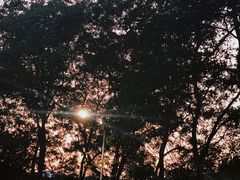 -红花湖景区