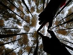 -山王坪喀斯特国家生态公园