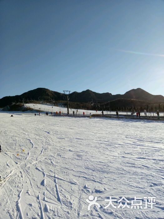林海滑雪场-初级雪道图片-大连周边游-大众点评网