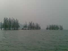 -东湖落雁景区