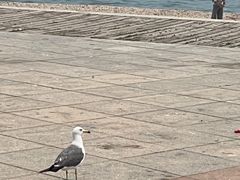 -黑石礁公园