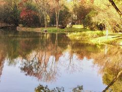 -上海共青森林公园