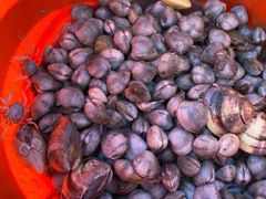 -北海金海湾红树林生态旅游区