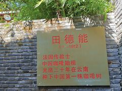 -田德能咖啡博物馆