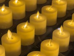 -瓦伦西亚大教堂