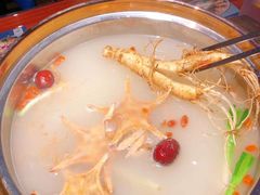 -千岛蚝高压锅生蚝·人参火锅(白云万达店)