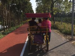 -上海长兴岛郊野公园