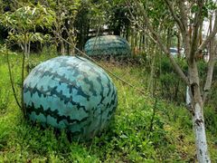 -金稼园·金平湖农家菜