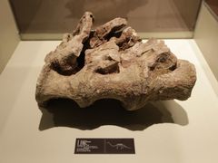 -世界恐龙谷景区