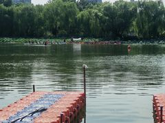 -WhaleSports户外水上运动俱乐部(朝阳公园店)