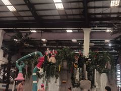 -南宫温泉水世界