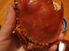 -视界美食自助餐厅·石家庄希尔顿酒店