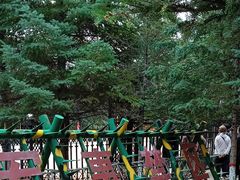 -北极村旅游风景区