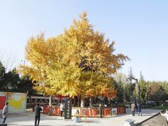 -终南山古楼观历史文化景区